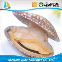 100% natural pack no chemical and additives frozen cooked baby clam